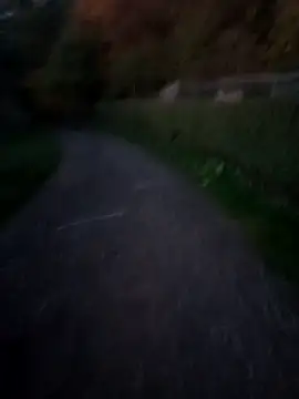 andyoutdoor live sex cam