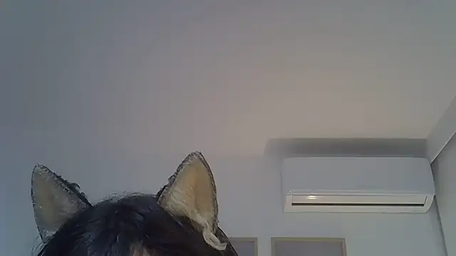 SkinnyKitten live cam preview