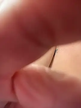camila_rouse_ (F young) - Dildo in pussy 🩷🩷🩷