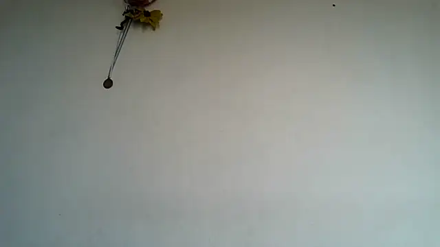 gaby_trent live cam on StripChat