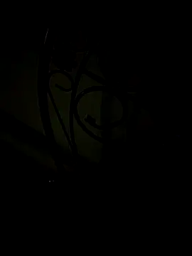 Raj_roy5