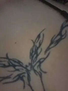 Aurora_em