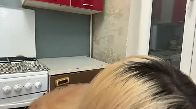 FoldedFood