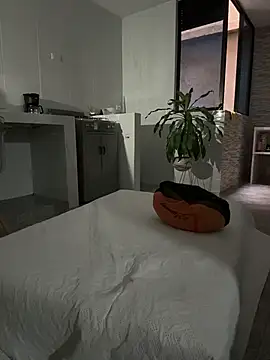 grey___27 webcam