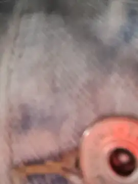 cataleya_16 (F young) - Off bra in bar public🔥🥵