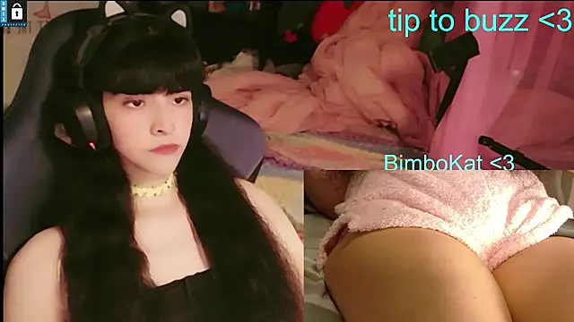 BimboCat