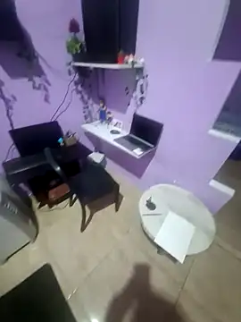 Thepandafv26 webcam
