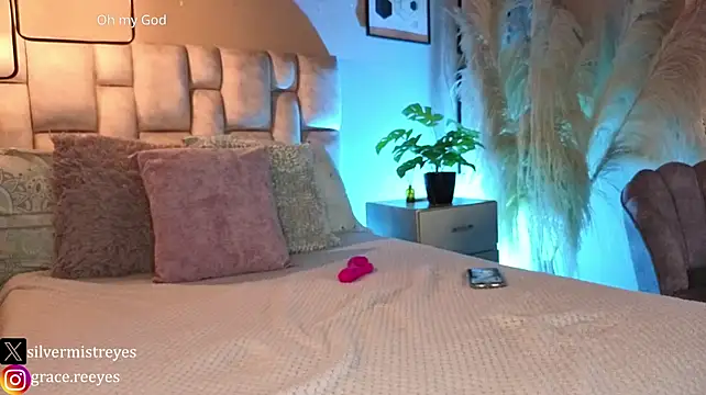 Silvermistt webcam