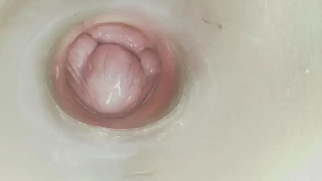 karol_stom