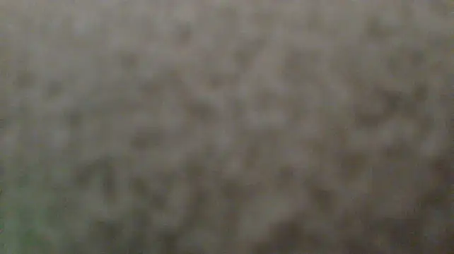 KleopatraI
