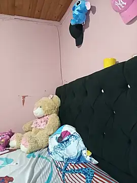 Smit_rouse webcam