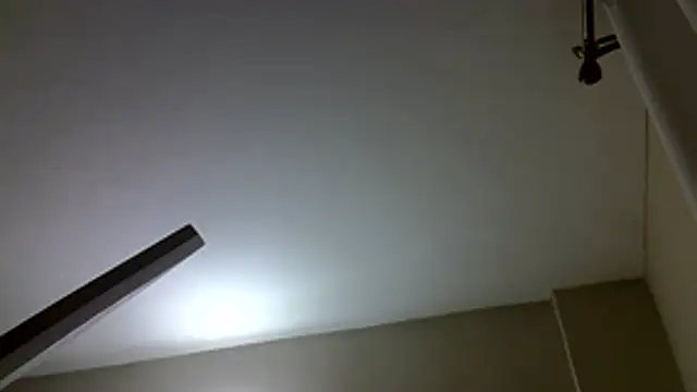 Aurora_starrr