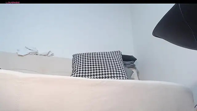 dirty_27cms webcam