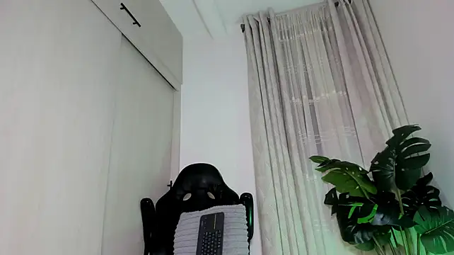 Biscuit_oliva