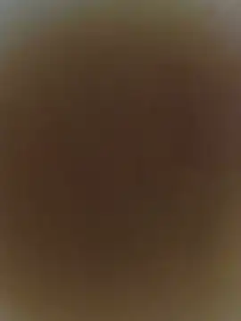 radhika7979 webcam