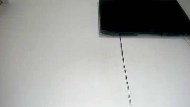 Fox_Loves