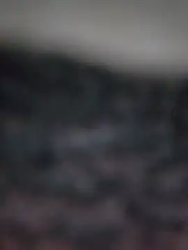 ZoZiDo