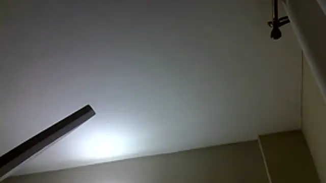 Aurora_starrr