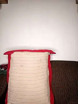 Modelo: kimtatuada