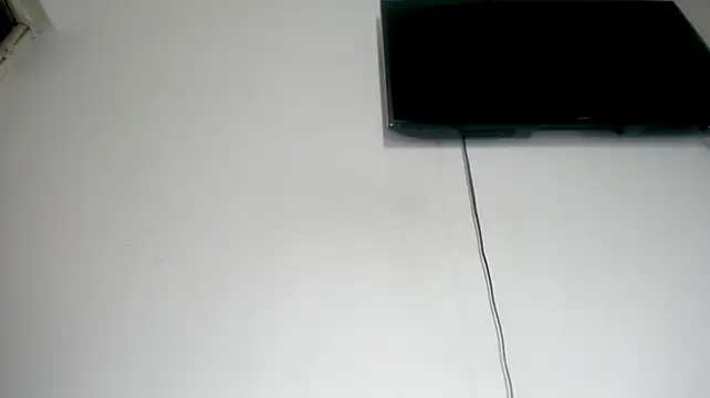 Fox_Loves