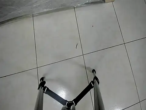 Alessa_HL