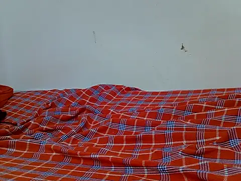 Swt_vixen live cam on StripChat
