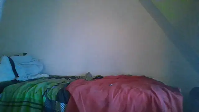 NordicGerman webcam