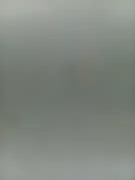 Hiptonos live cam