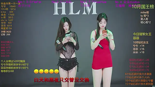 HLM-001 webcam