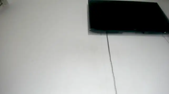 Fox_Loves