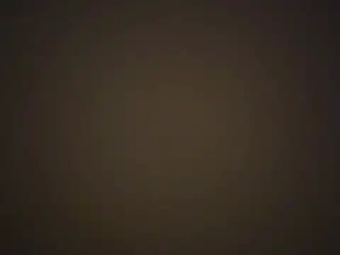 piggylatino