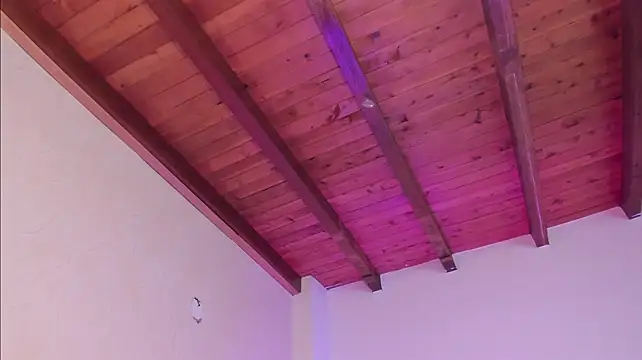 rikystar_and_luna live sex cam