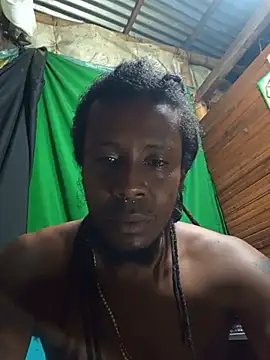 BB_COCK09