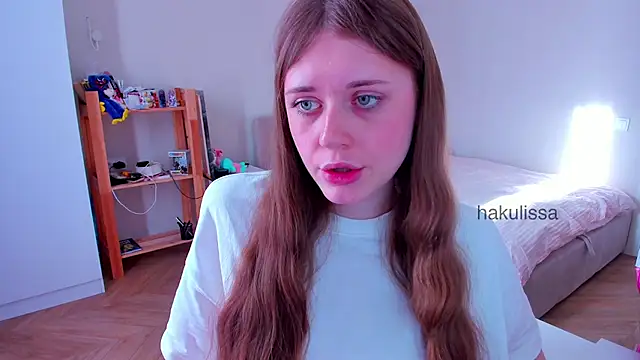 hakulissa webcam