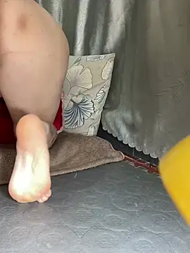 meiiijr55