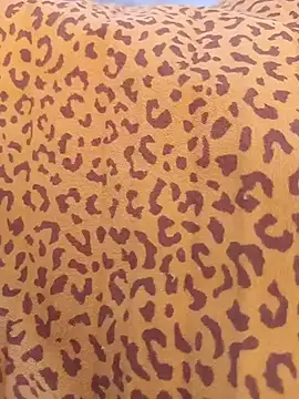 Nasipussy live cam on StripChat