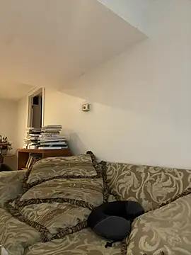 KOdaLion live cam on StripChat