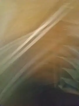 mellow_smoke live cam on StripChat