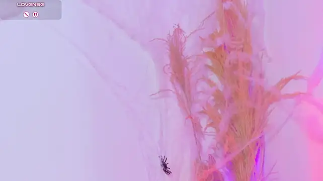 Maddie_Evanss