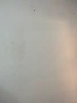 BrillitHard live cam on StripChat