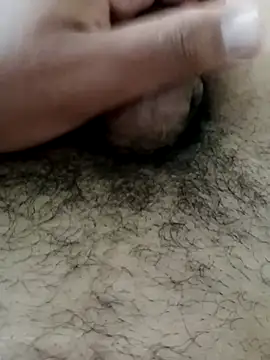 deebbol