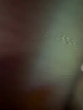 czl-11 (F milf) - 完成目标手指抠穴穴3分钟