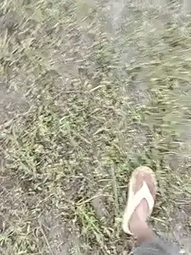 ThethunderPo
