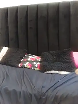 CHUBBY325is webcam