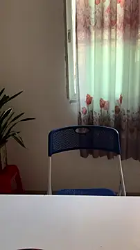Caihong-