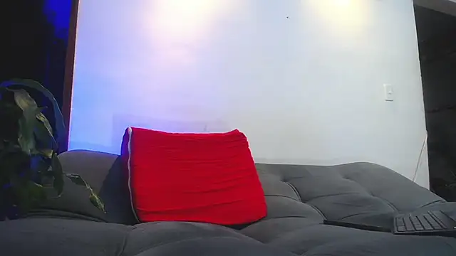 shellsy_hans