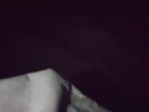 Taylor_Lam