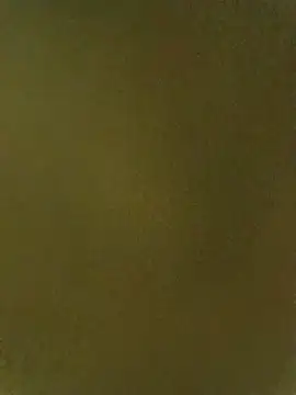 queen_queen webcam
