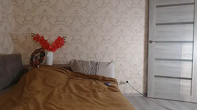 DolphinDreams