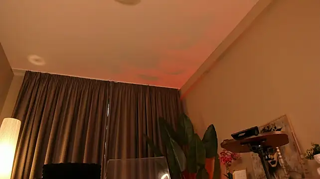 torri_kitten
